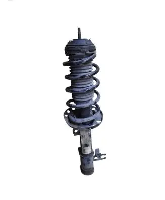 Opel Meriva B Front shock absorber with coil spring 13268956 22245141 368135153