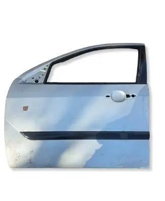 Ford Focus Rear door 