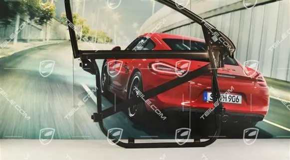 Porsche Cayenne (9PA) Front door window/glass frame 95553135402