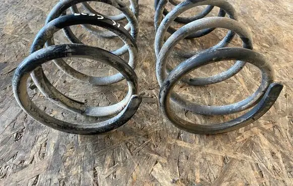 Rear coil spring