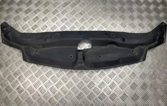 Engine bonnet/hood lock trim molding