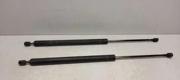 Tailgate/trunk strut/damper