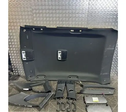 BMW X1 E84 Headlining set 8047719