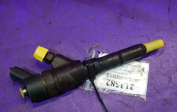 Fiat Ducato Fuel injector 0445110076