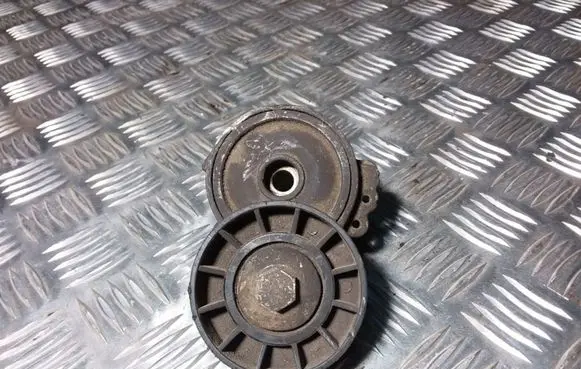 Peugeot 407 Generator/alternator belt tensioner