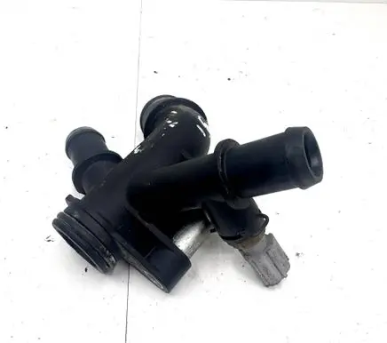 Thermostat/thermostat housing