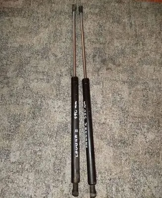 Tailgate/trunk strut/damper