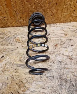 Rear coil spring