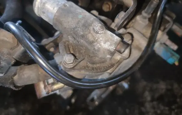 Peugeot 406 Engine coolant pipe/hose 9629038180