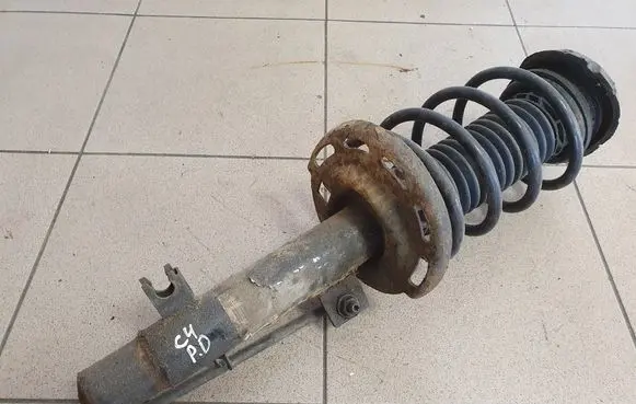 Citroen C4 Cactus Front shock absorber with coil spring 9810705180