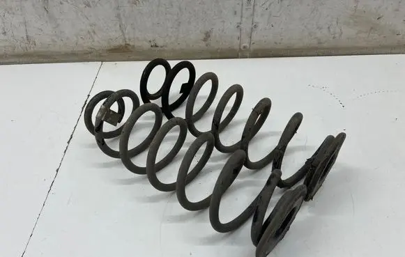 Skoda Octavia Mk4 Rear coil spring