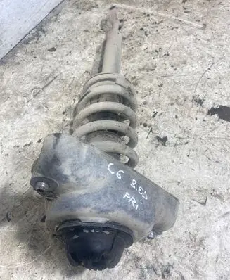 Front shock absorber with coil spring