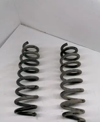 Rear coil spring