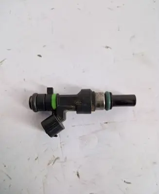 Nissan Note (E11) Fuel injector fby1160