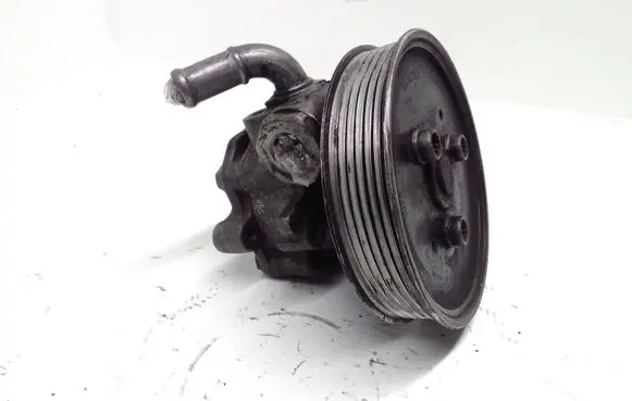 Volkswagen Touareg I Power steering pump 7L8422154D