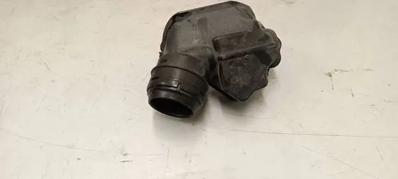 Intake resonator