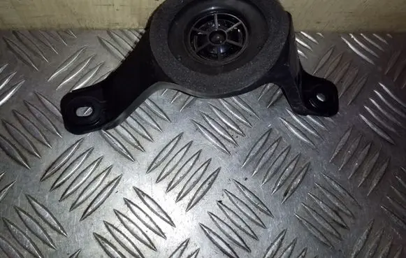 Toyota RAV 4 (XA30) Panel speaker 8616042130