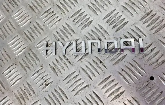 Hyundai Terracan Manufacturers badge/model letters 