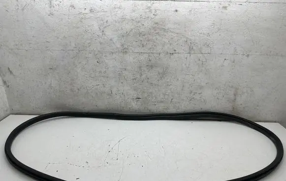 BMW 3 F30 F35 F31 Front door rubber seal