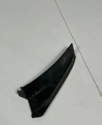 Rear/tail light trim molding