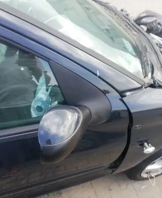 Peugeot 206+ Manual wing mirror KTG
