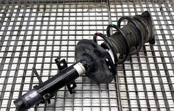 Nissan Qashqai Front shock absorber/damper 