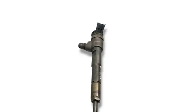 Renault Kangoo II Fuel injector 0445110485 H8201108033