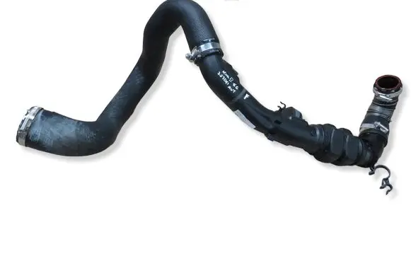 Ford Kuga II Intercooler hose/pipe DS736C646FJ F1014075807 00121142