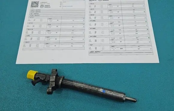 Citroen C5 Fuel injector EJBR06001D IMPRK1563106