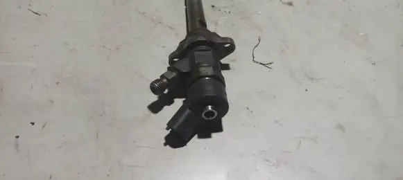 Citroen Berlingo Fuel injector 0445110239 30003