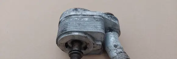 Iveco Daily 6th gen Engine oil radiator 