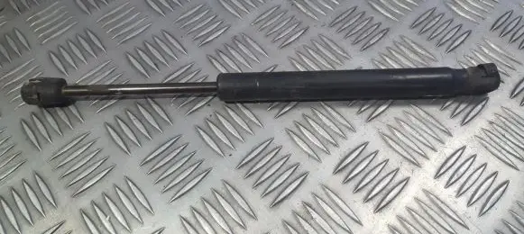 Tailgate/trunk strut/damper