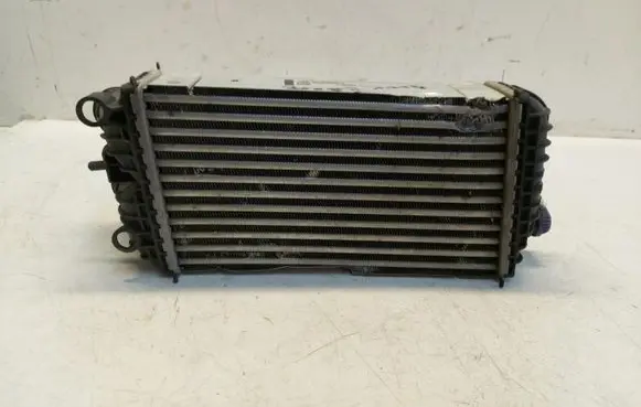 Peugeot 2008 II Coolant radiator 9824742280