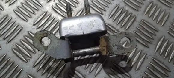 Rear door lower hinge