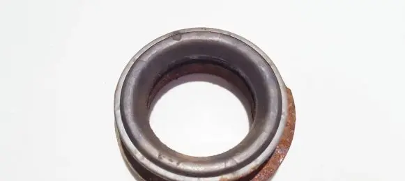 Coil spring mount