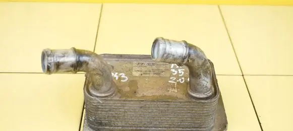 Hyundai ix35 Oil pump 264102F020 D4HA