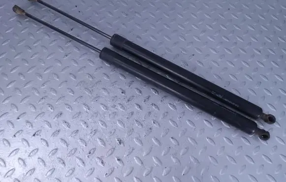 Tailgate strut