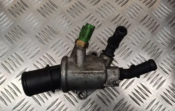 Thermostat/thermostat housing