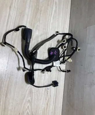 Renault Arkana Front door wiring loom/harness boot 241249371R