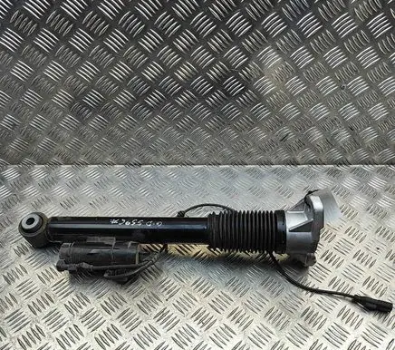 Mercedes-Benz GLE W167 Rear shock absorber/damper A1673202201