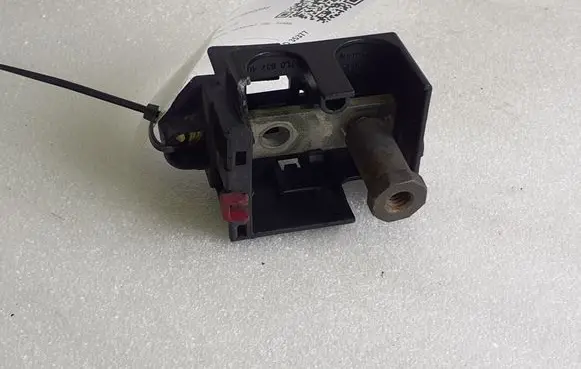 Positive wiring loom