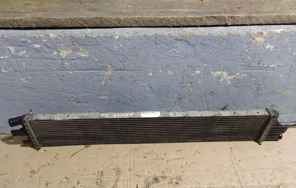 Renault Master III Front sill trim cover 214C10001R