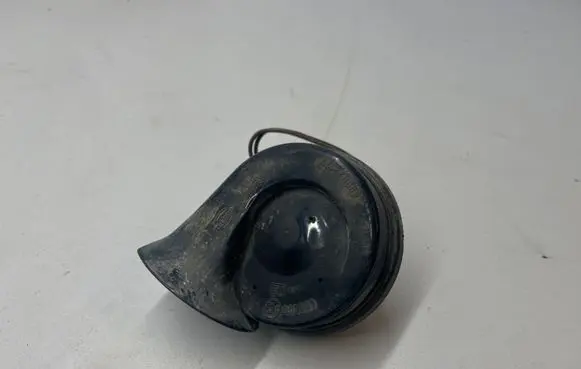 Volkswagen PASSAT B6 Horn signal E1000209