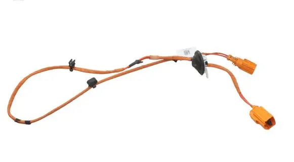 Cupra Born Other wiring loom 1EA971475B