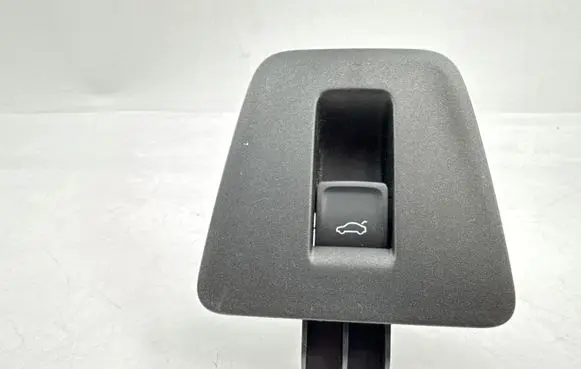 Volkswagen Tiguan Tailgate opening switch 3G0959831