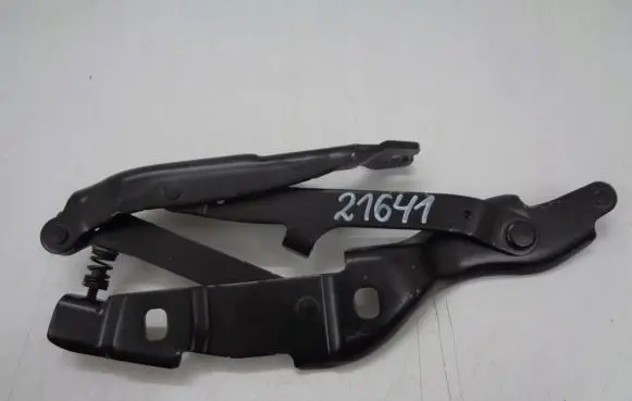BMW Z4 E89 Engine bonnet/hood hinges 41617225128