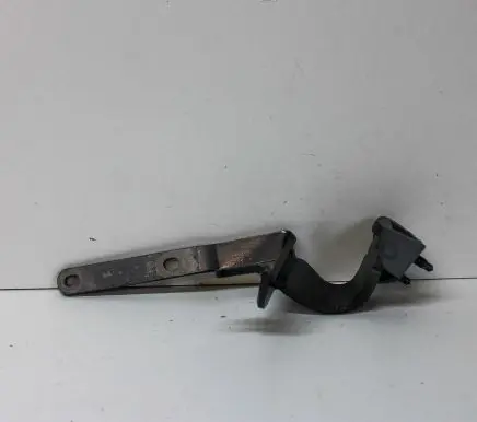 Tailgate/trunk/boot hinge