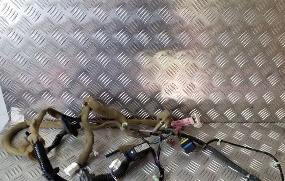 Infiniti FX Front door wiring loom 24125CG010