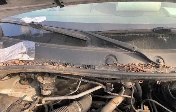 Buick Roadmaster Front wiper blade arm 