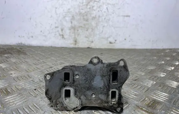Peugeot 5008 II Engine oil radiator 1193138S02